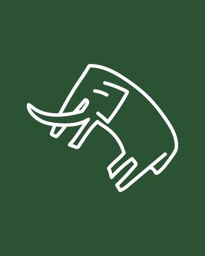 iGoAfrika's Team Members - Wisdom