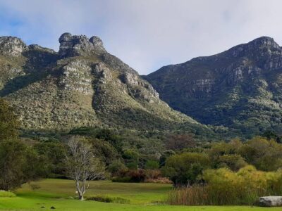 igoafrika tours - Cape Town City - Kirstenbosch