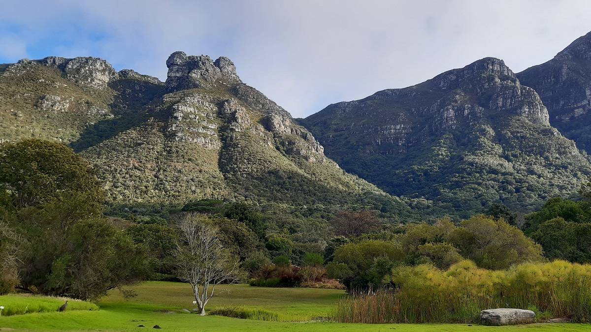 igoafrika tours - Cape Town City - Kirstenbosch
