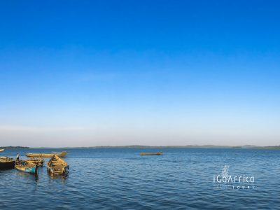 Unforgettable 10-Day Uganda Adventure